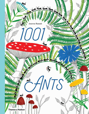 1001 ANTS