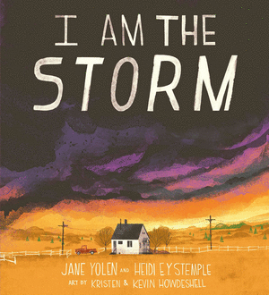 I AM THE STORM