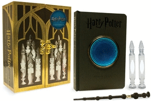 HARRY POTTER PENSIEVE MEMORY SET