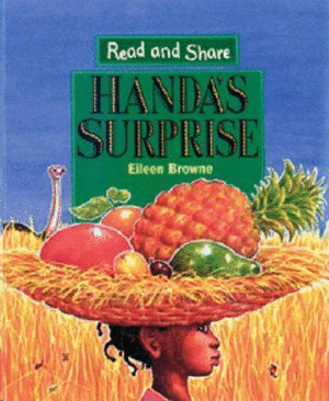 HANDA'S SURPRISE
