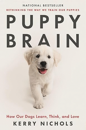 PUPPY BRAIN
