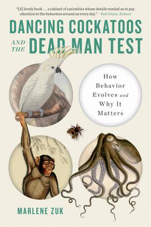 DANCING COCKATOOS AND THE DEAD MAN TEST