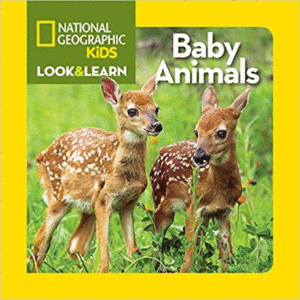 LOOK AND LEARN: BABY ANIMALS (LOOK&LEARN)