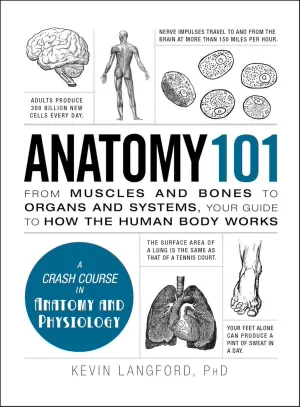 ANATOMY 101
