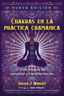 CHAKRAS EN LA PRÁCTICA CHAMÁNICA