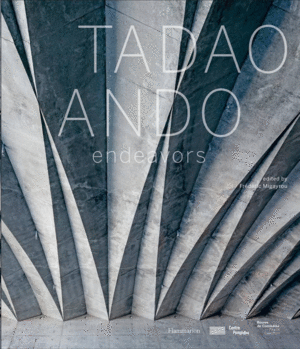 TADAO ANDO - ENDEVORS