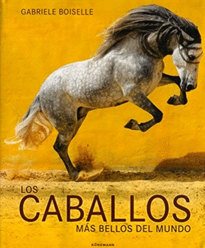 LOS CABALLOS MAS BELLOS DEL MUNDO