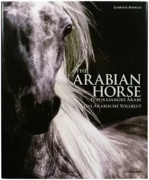 THE ARABIAN HORSES