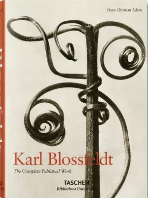 KARL BLODDFELDT THE COMPLETE PUBLISHED WORK