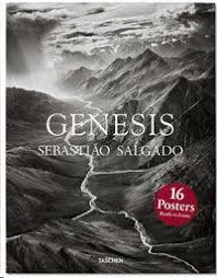 GENESIS - 16 POSTERS
