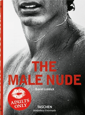 THE MALE NUDE