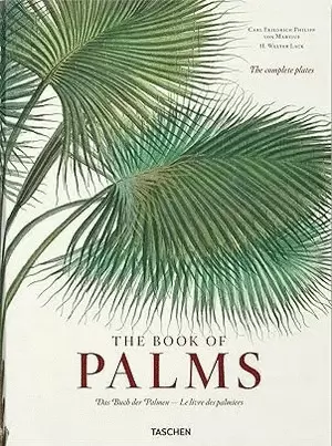 THE BOOK OF PALMS