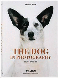 THE DOG IN PHOTOGRAPHY 1839TODAY