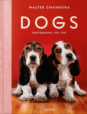 WALTER CHANDOHA. DOGS. PHOTOGRAPHS 1941-1991