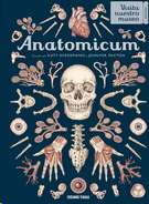 ANATOMICUM