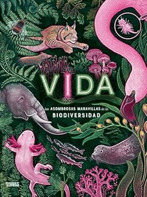 VIDA