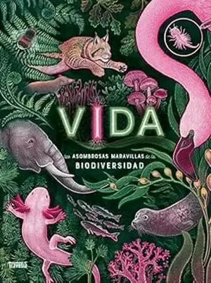 VIDA