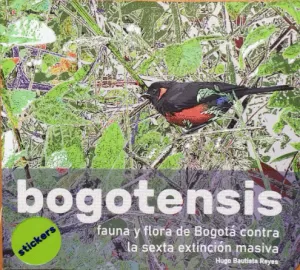 BOGOTENSIS