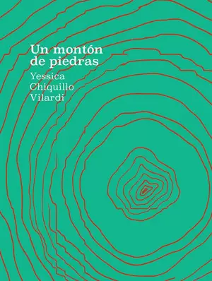 UN MONTÓN DE PIEDRAS