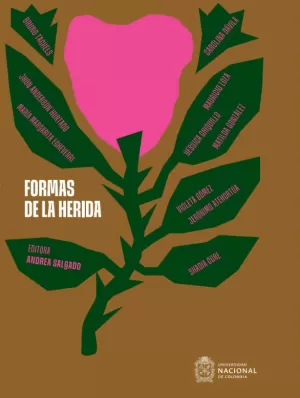 FORMAS DE LA HERIDA