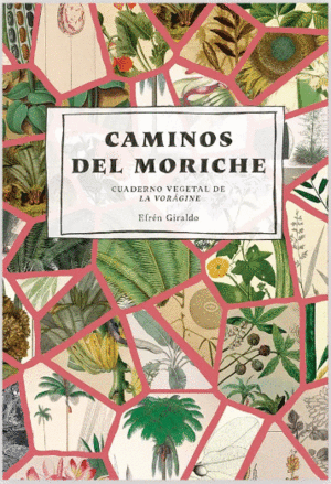 CAMINOS DEL MORICHE