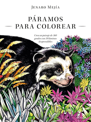 PARAMOS PARA COLOREAR