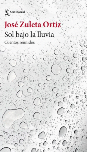 SOL BAJO LA LLUVIA