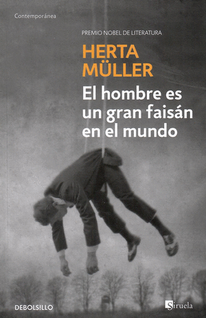 EL HOMBRE ES UN GRAN FAISÁN EN EL MUNDO