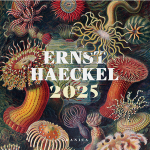CALENDARIO ERNST HAECKEL 2025, PARED