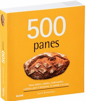 500 PANES