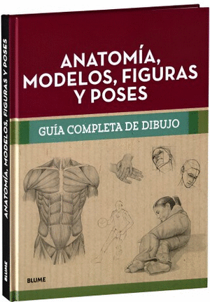 ANATOMÍA, MODELOS, FIGURAS Y POSES