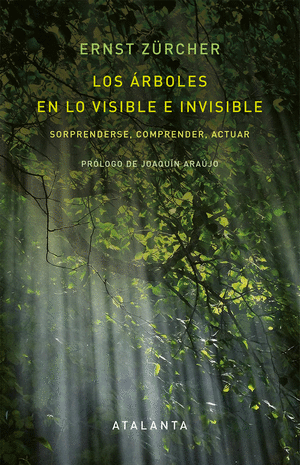 LOS ÁRBOLES EN LO VISIBLE E INVISIBLE