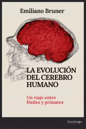 LA EVOLUCION DEL CEREBRO HUMANO