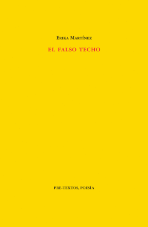 EL FALSO TECHO