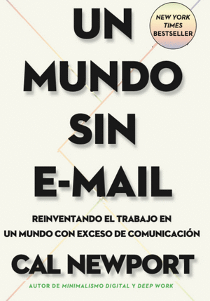 UN MUNDO SIN E-MAIL (A WORLD WITHOUT E-MAIL, SPANISH EDITION)
