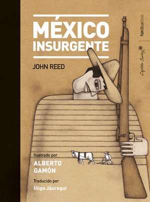 MEXICO INSURGENTE