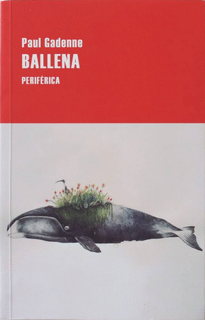 BALLENA