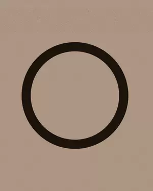 MARÍA TERESA HINCAPIE