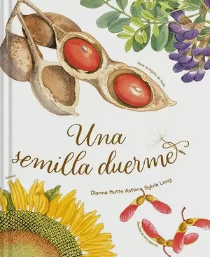 UNA SEMILLA DUERME