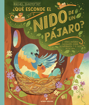 QUÉ ESCONDE EL NIDO DE UN PÁJARO?