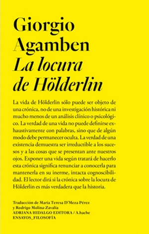 LA LOCURA DE HÖLDERLIN