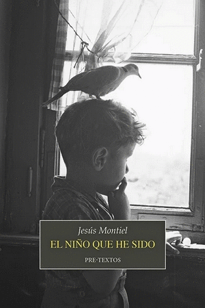 EL NIÑO QUE HE SIDO