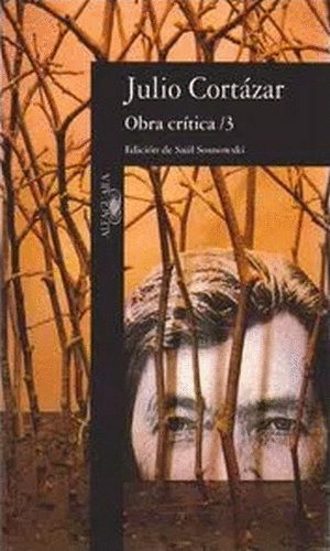 OBRA CRÍTICA 3