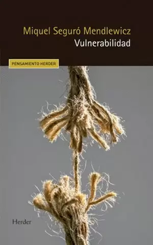 VULNERABILIDAD