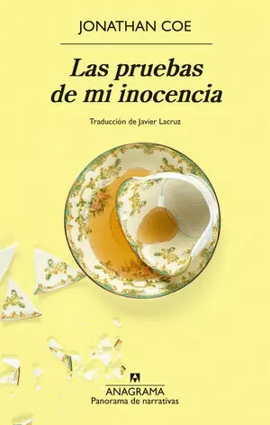LAS PRUEBAS DE MI INOCENCIA