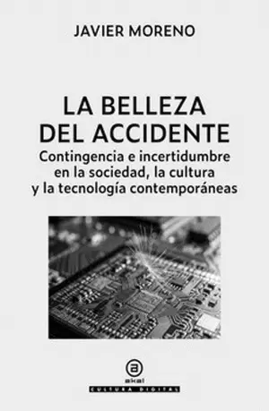 LA BELLEZA DEL ACCIDENTE