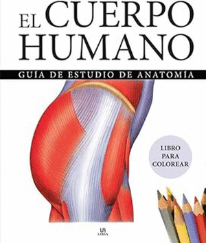 EL CUERPO HUMANO