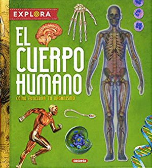 EL CUERPO HUMANO