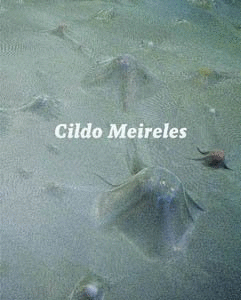 CILDO MEIRELES