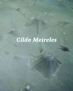 CILDO MEIRELES